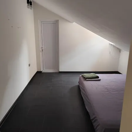 Summer Oasis In * Constanţa