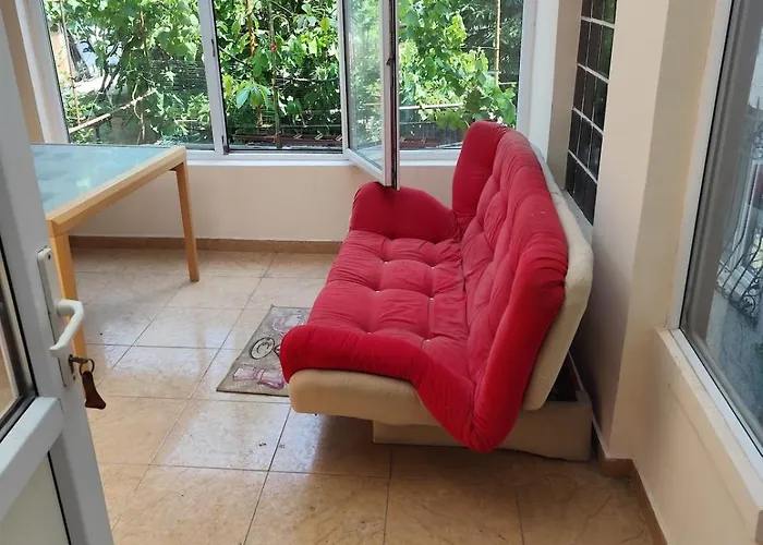 Summer Oasis In 펜션 *